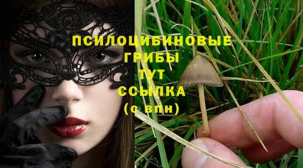 соль курить ск Бородино