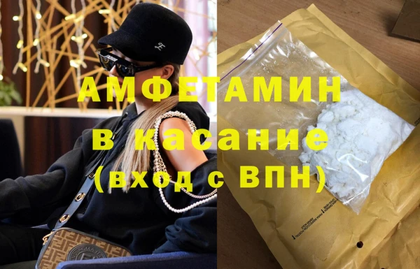 шишки Сосновка