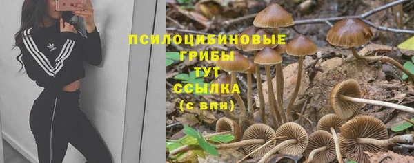 мдма Богородицк