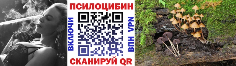 купить наркотик  Каменск-Шахтинский  Псилоцибиновые грибы MAGIC MUSHROOMS 